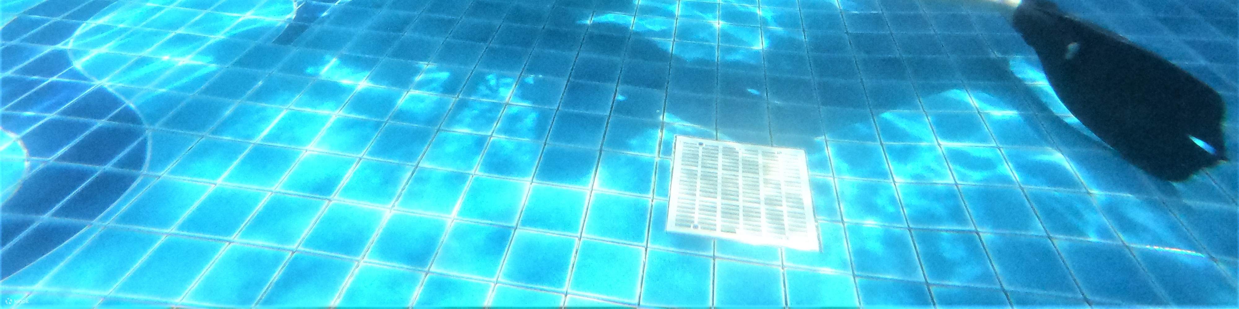 PADI Discover Scuba Diving (หลักสูตรเรียนออนไลน์)