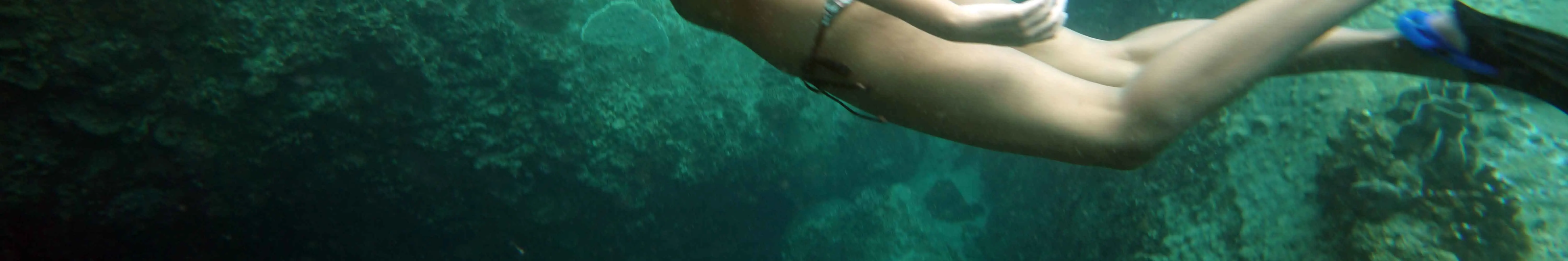 全日浮潜之旅