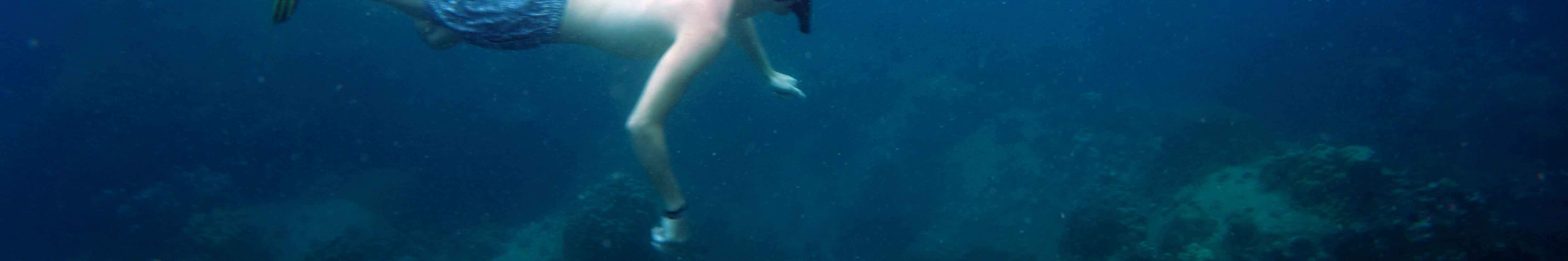 Perjalanan Snorkeling Sehari Penuh