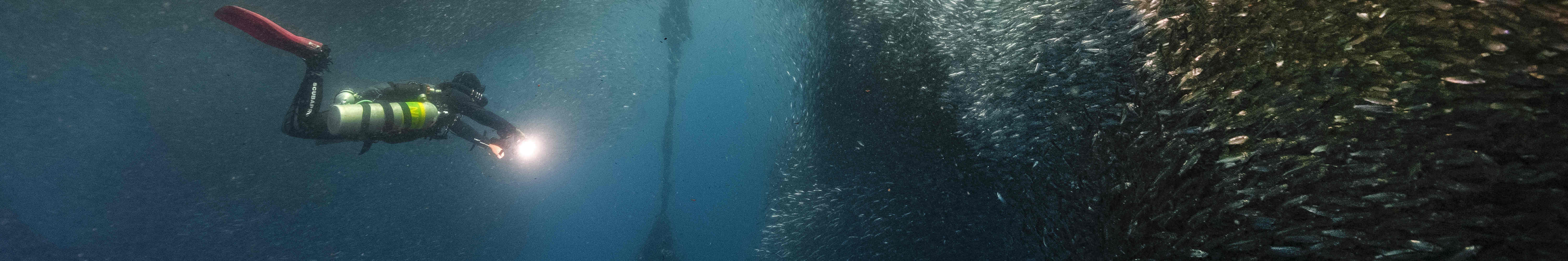 PADI Advanced Open Water Diver (E-learning)