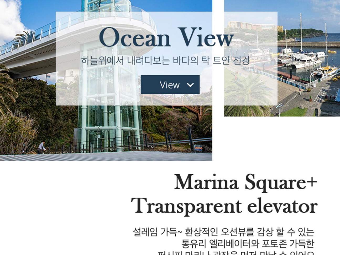 제주 퍼시픽 마리나 요트투어 이용권 - 클룩 Klook 한국