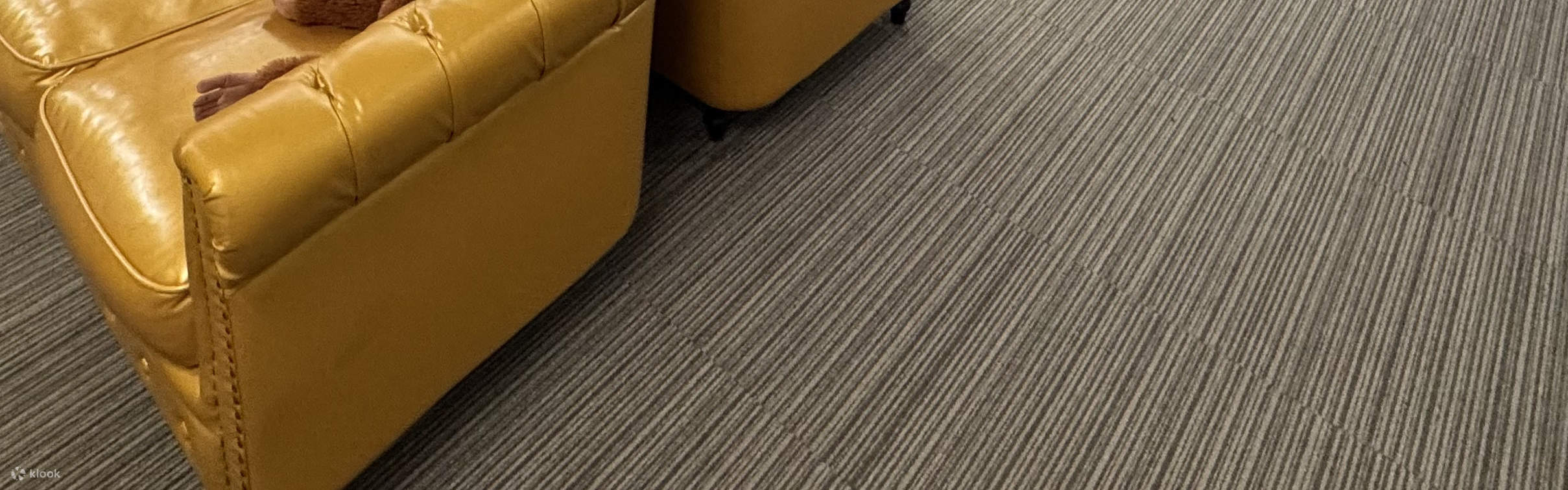 Small Group Go Kart Experience in Asakusa 