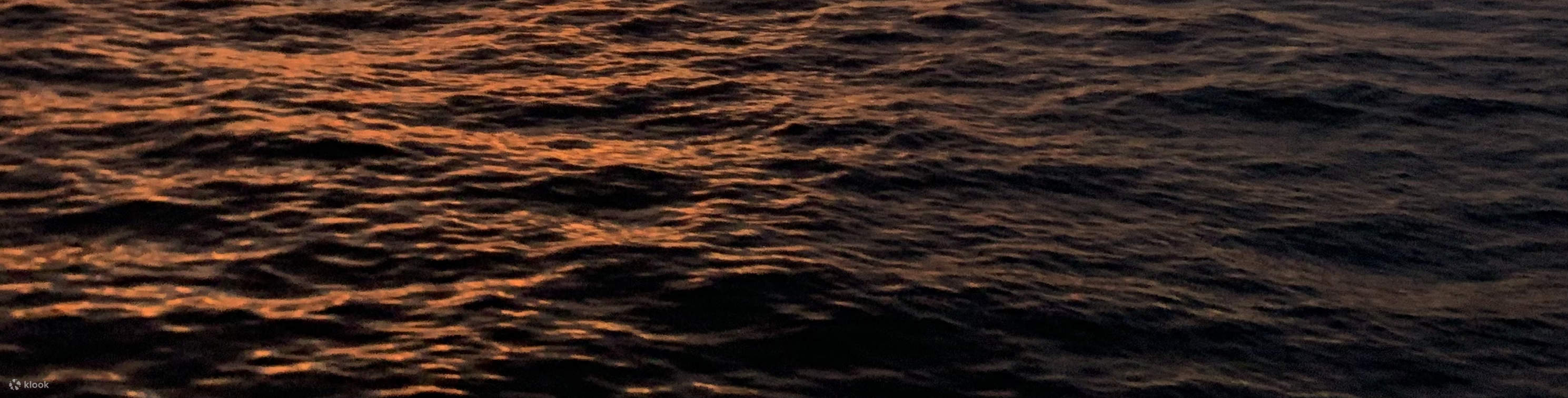 夕阳游艇巡航：美酒、音乐、小吃与趣味知识