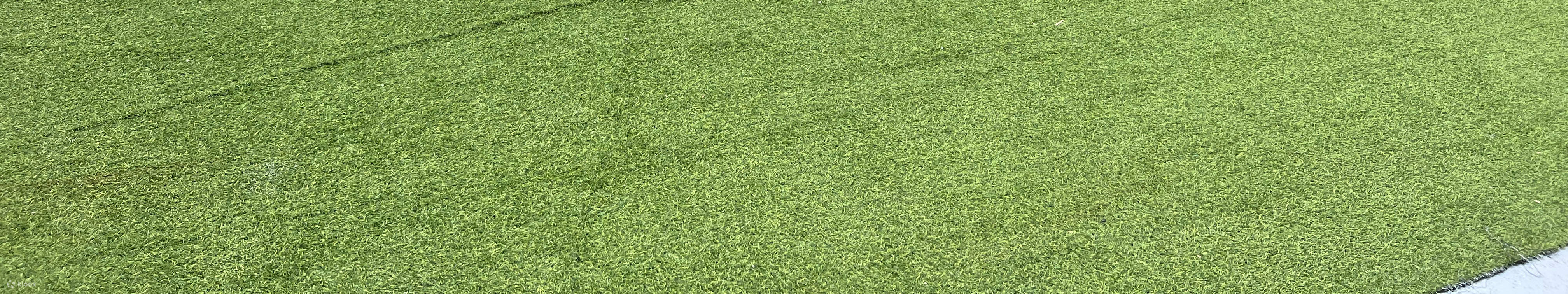 Yau Tam Mei Holiday Camp Summer Festival