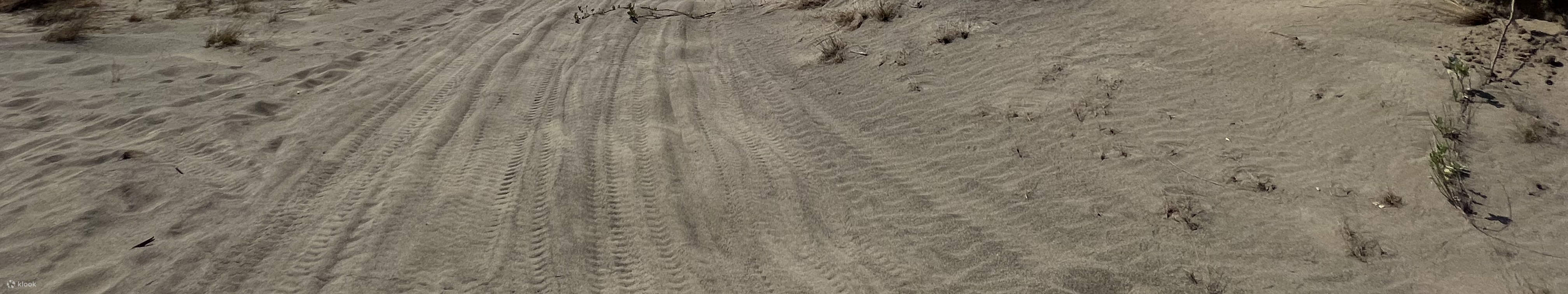 Chuyến phiêu lưu bằng xe ATV trên cồn cát La Paz