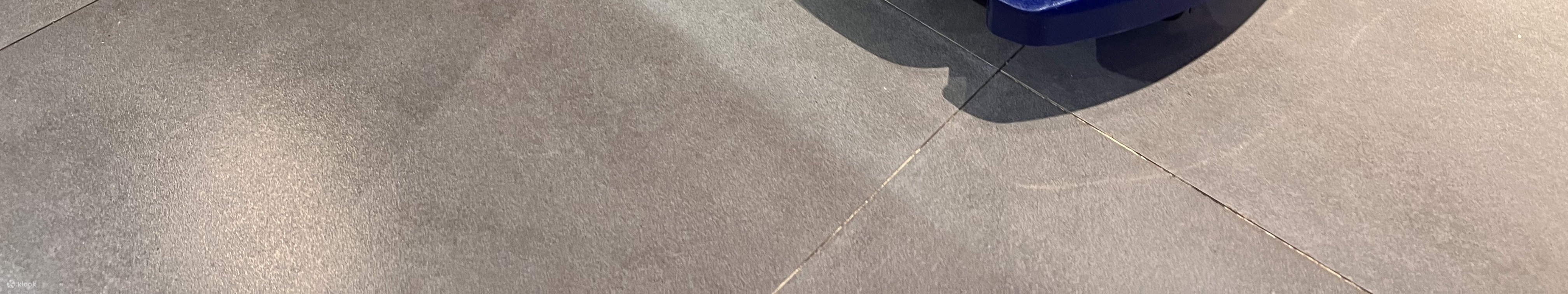 ヤウタムメイ ホリデー キャンプ サマー フェスティバル