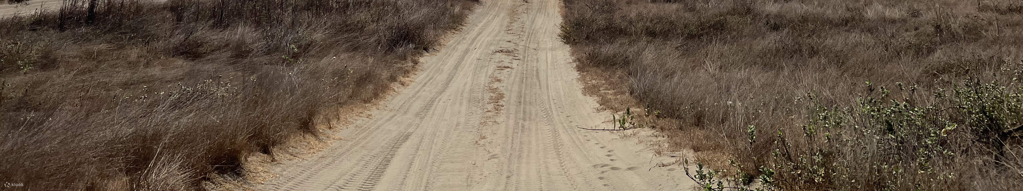La Paz Sand Dunes ATV