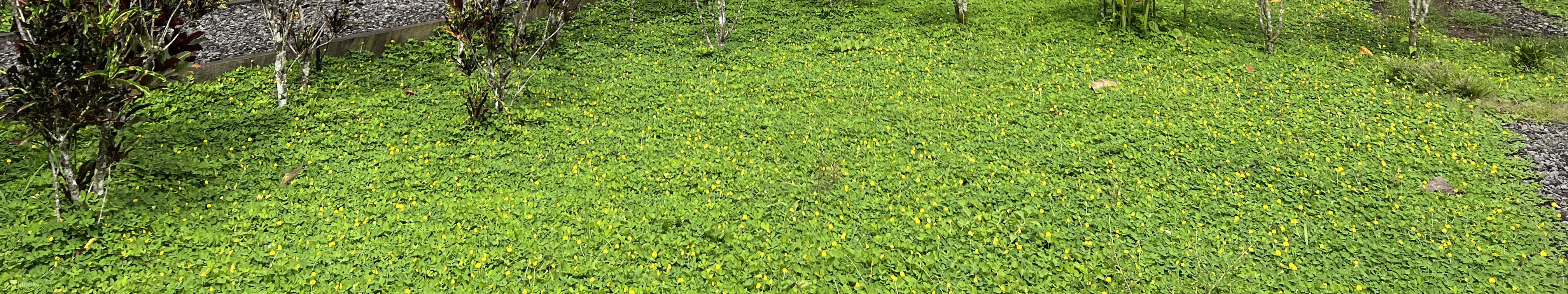 발리 가둥안의 탈라시 에스테이트에서 즐기는 탈라시 제품 여정