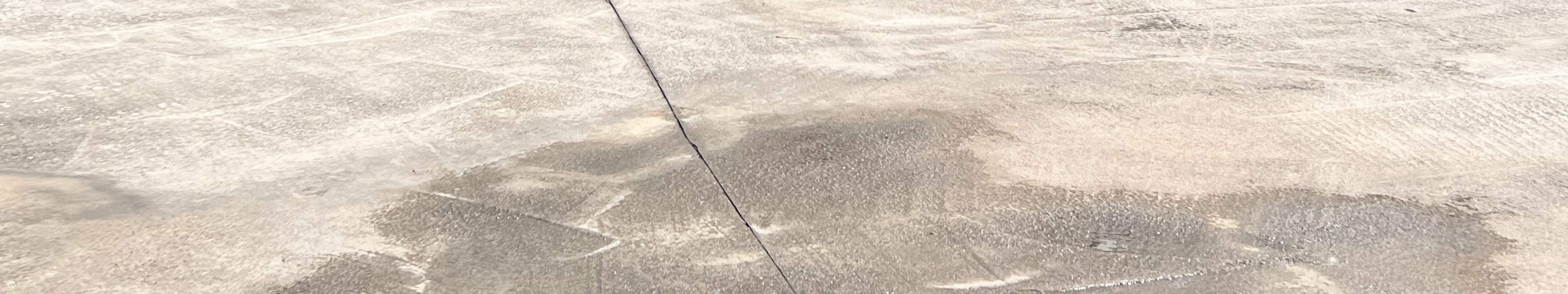 ヤウタムメイ ホリデー キャンプ サマー フェスティバル