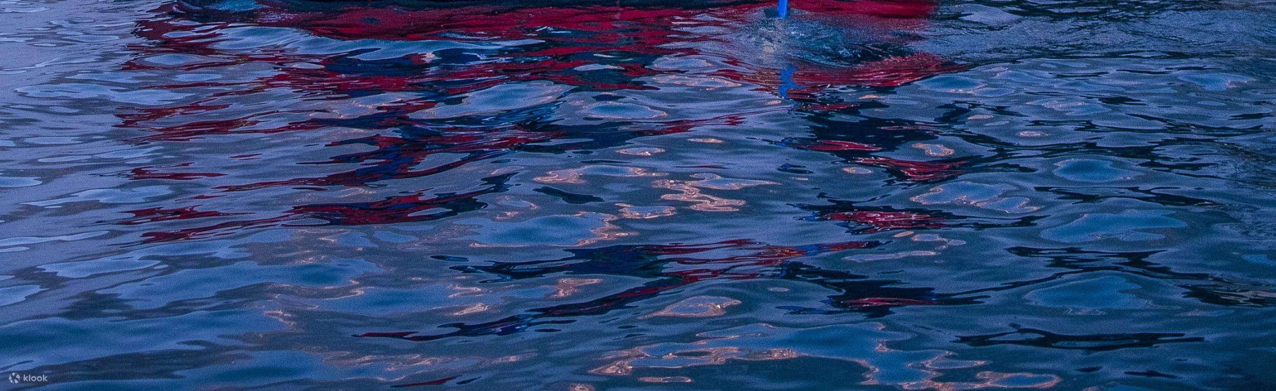 ブリエンツ湖インターラーケンのラクレットラフティング