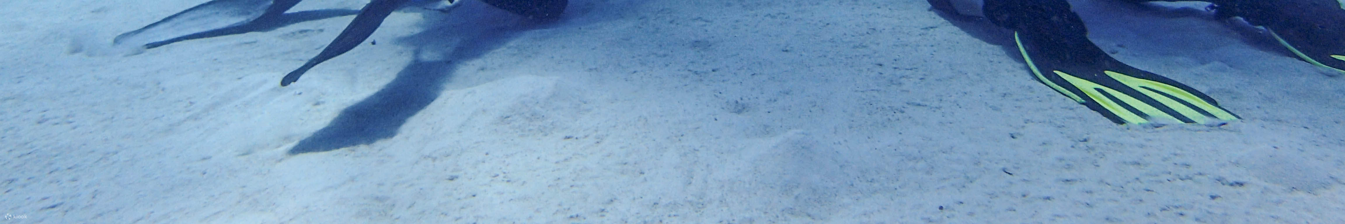 PADIオープン・ウォーター・ダイバーコース