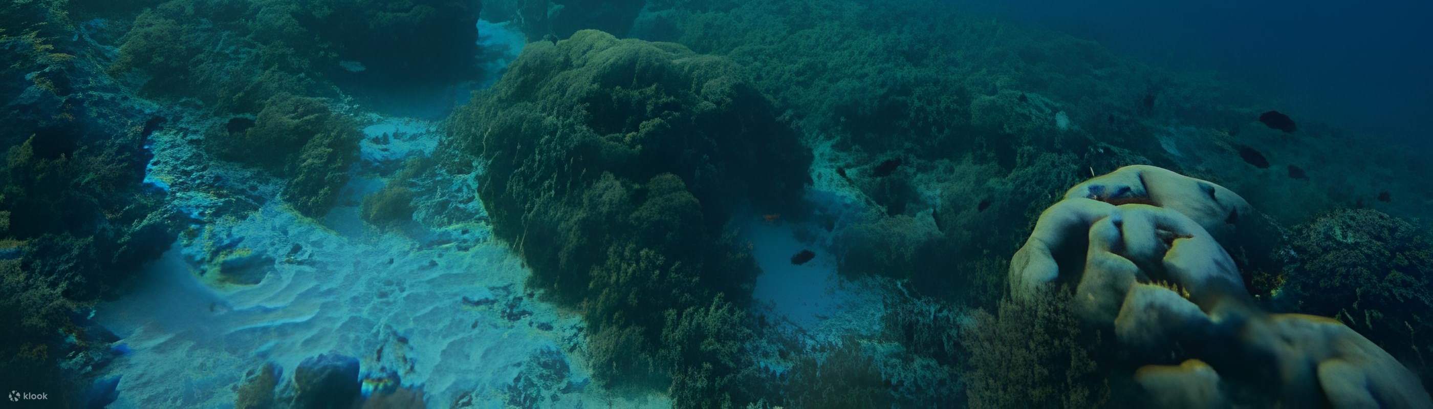 Lasst uns den Turtle's Spots Point erkunden