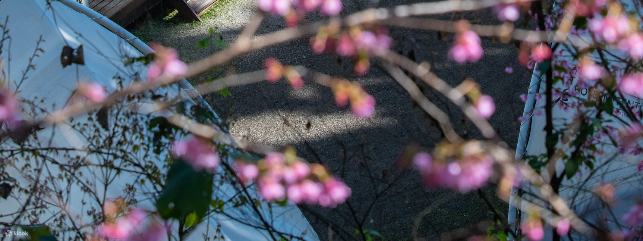 Tenda da campeggio nell'area di Valley Fawn