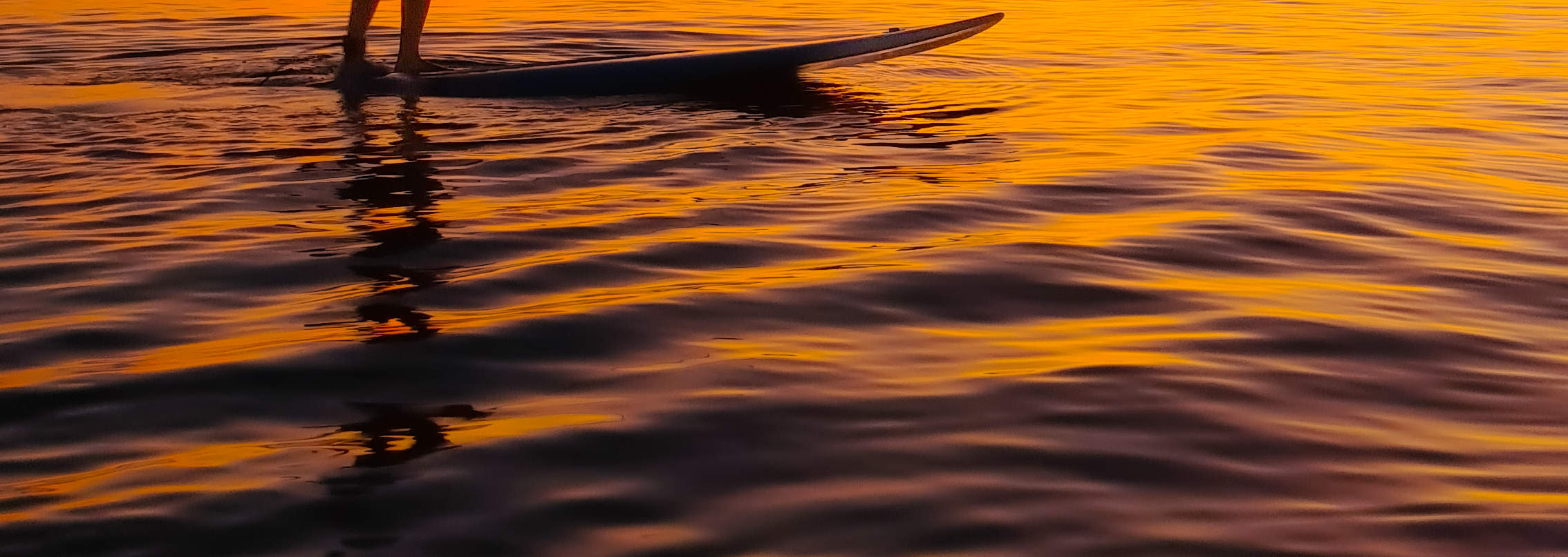 Bạn có thể may mắn chụp được những bức ảnh như thế này vào lúc hoàng hôn. Hướng dẫn viên của chúng tôi luôn cố gắng hết mình để giúp bạn có được những bức ảnh đẹp.