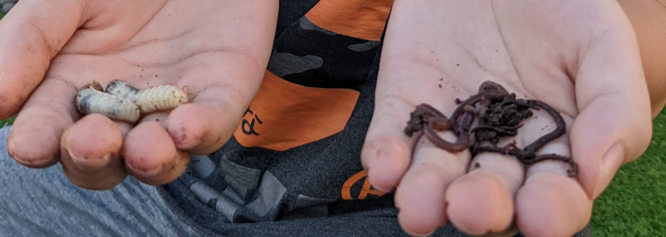 Encuentro con lombrices y experiencia de compostaje con lombrices