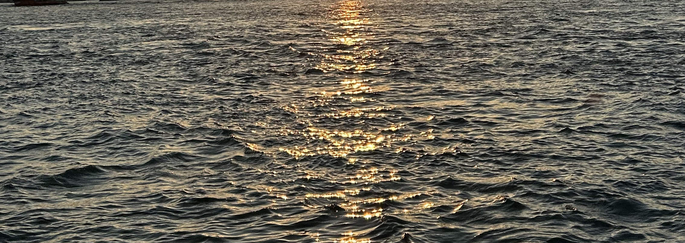 イスタンブール絶景サンセットクルーズ：アジア側探検付き3時間