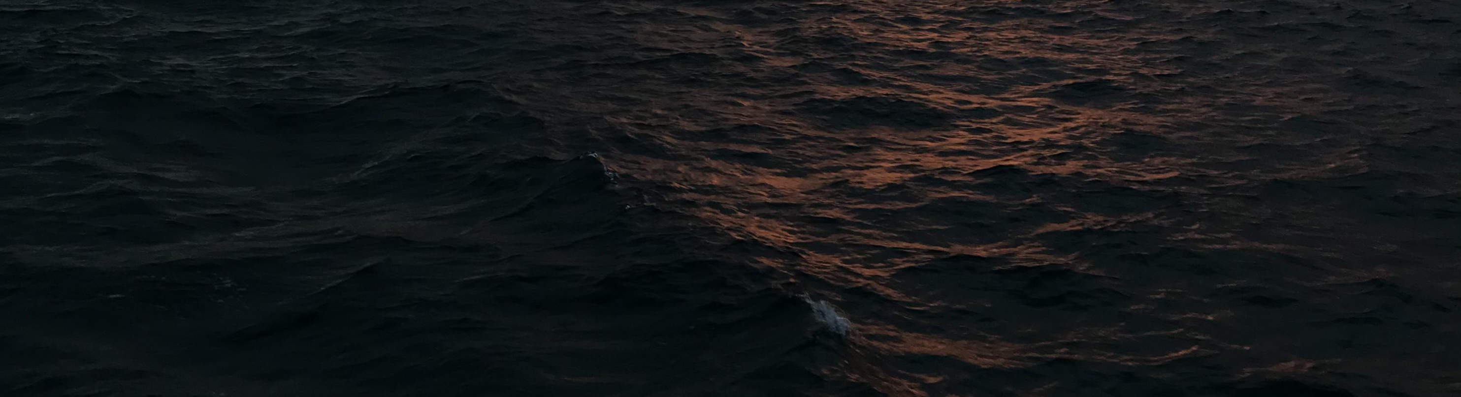 夕阳游艇巡航：美酒、音乐、小吃与趣味知识