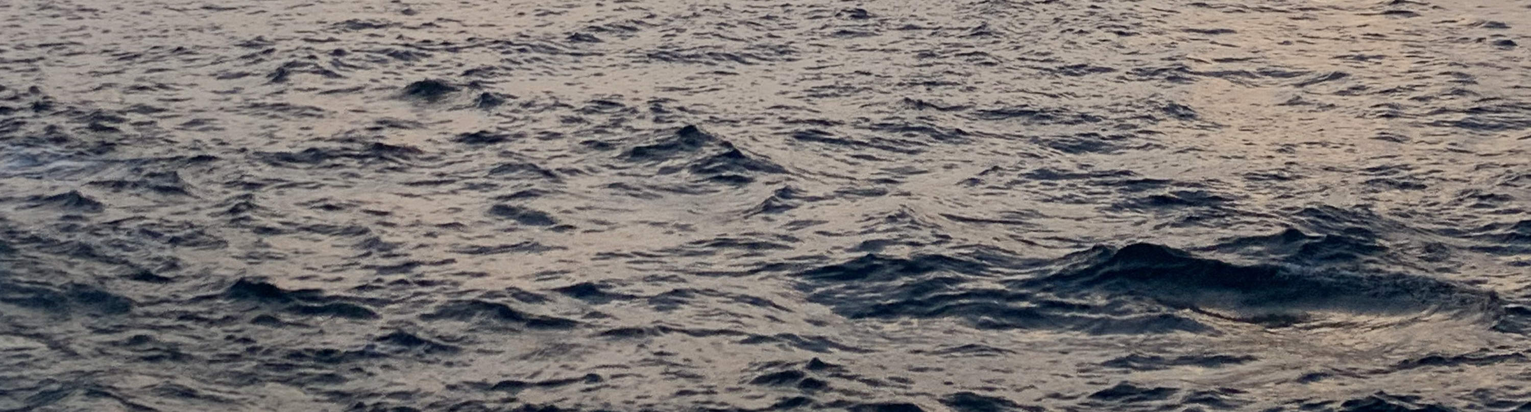 夕阳游艇巡航：美酒、音乐、小吃与趣味知识