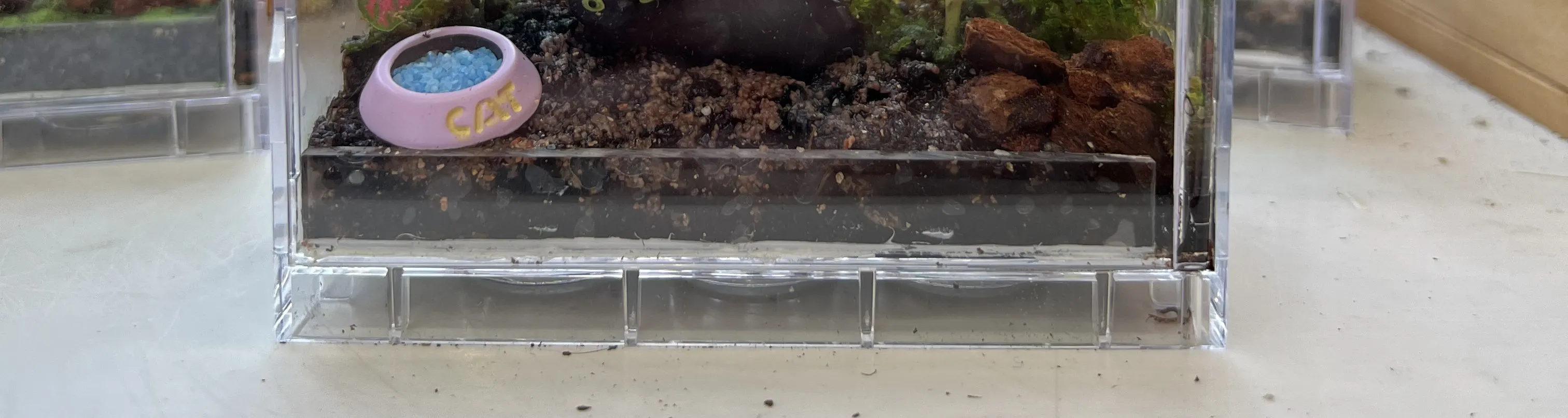 手作班房 - 微景观植物生态工作坊 Mini Terrarium Workshop｜铜锣湾