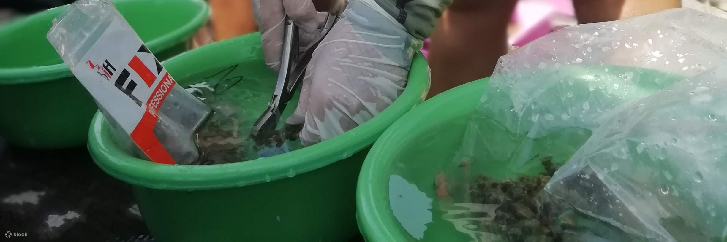 แพ็กเกจดำน้ำเพื่อการอนุรักษ์ Ocean Quest