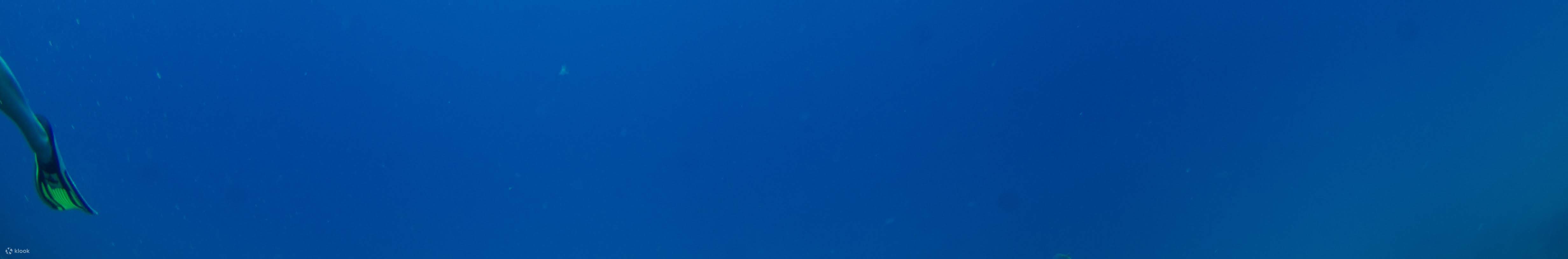 Perjalanan sehari penuh dengan dua penyelaman