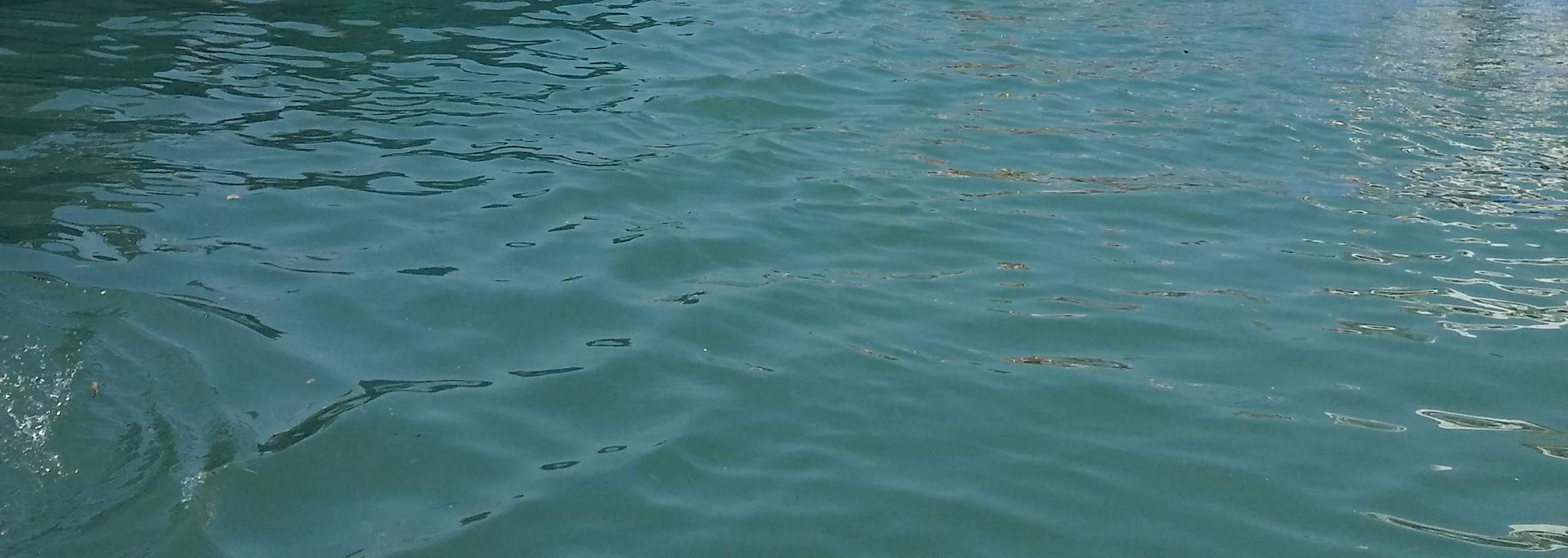 Tiket bot bersiar-siar Tai O