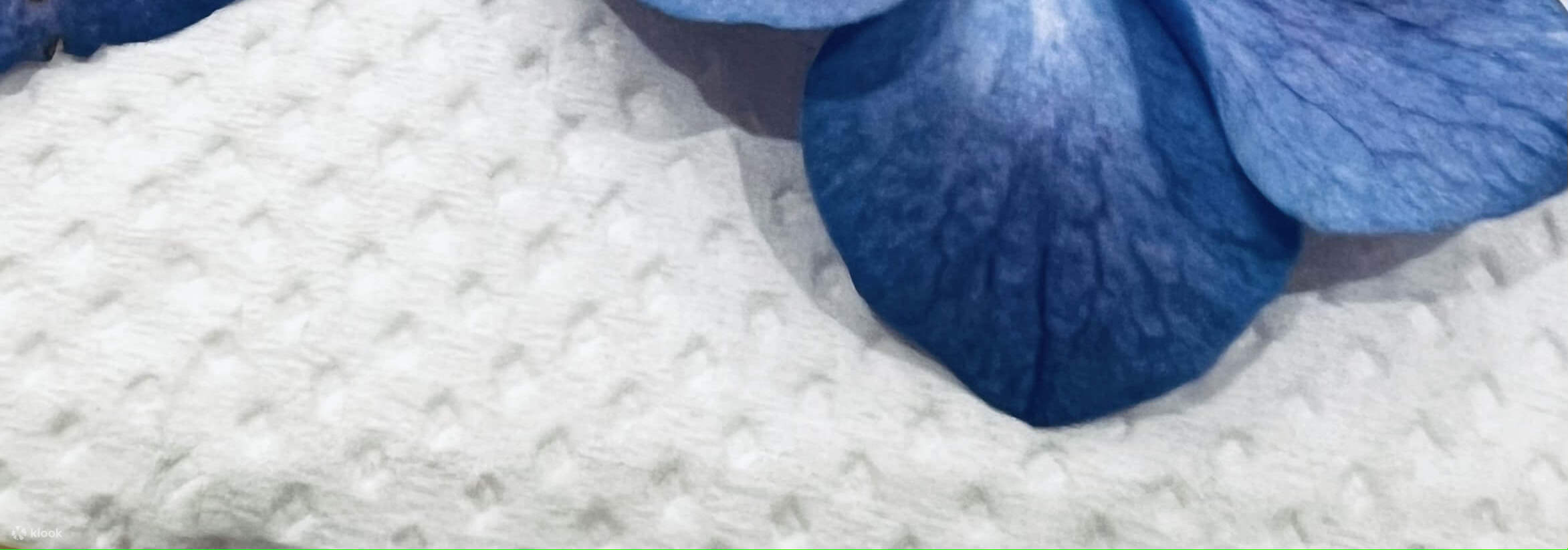 Japanese Press Floral Design Hana En