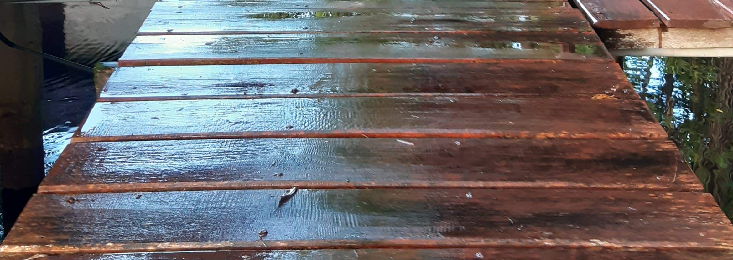 Jalan Setapak Spa Setelah Hujan Sore yang Menyegarkan