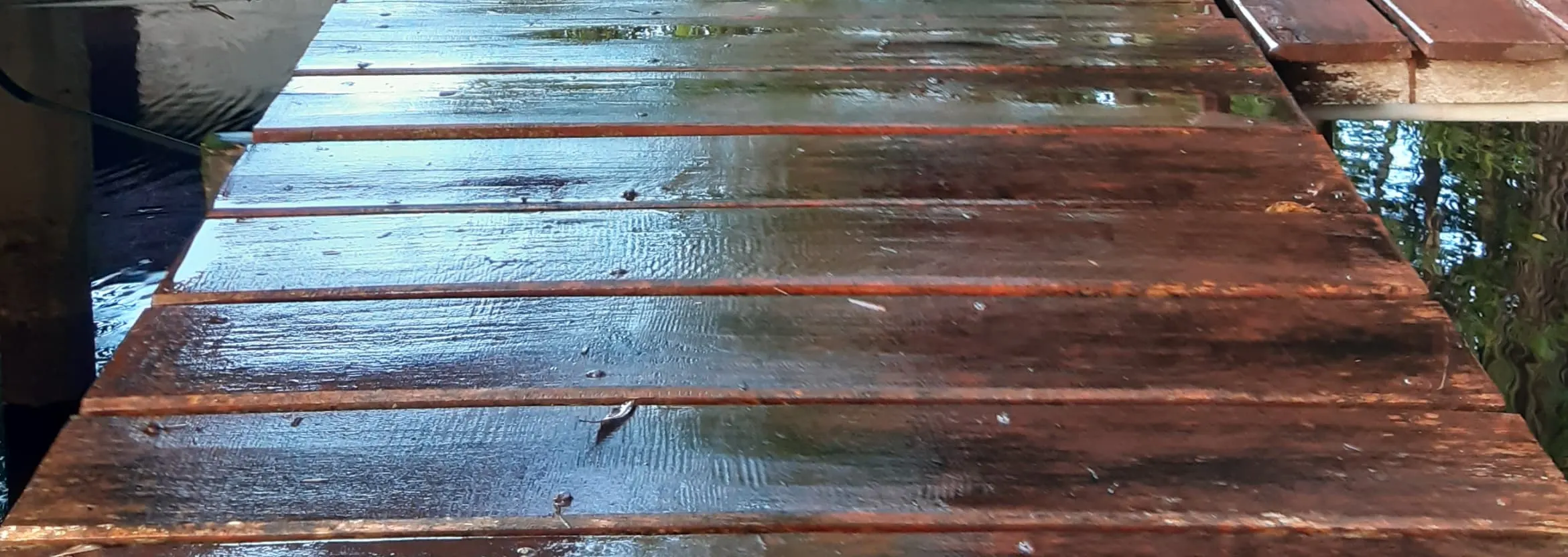 雨后清爽的Spa步道