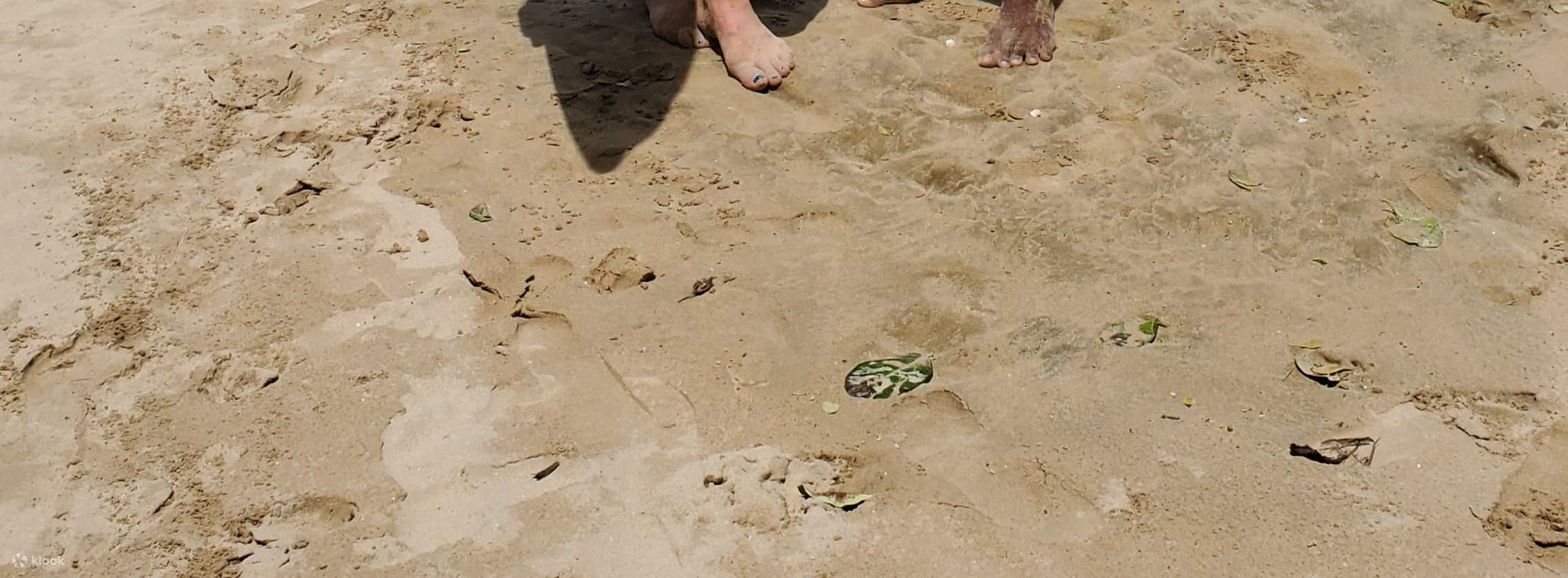 성장과 함께 추억을 담는 포토 타임!