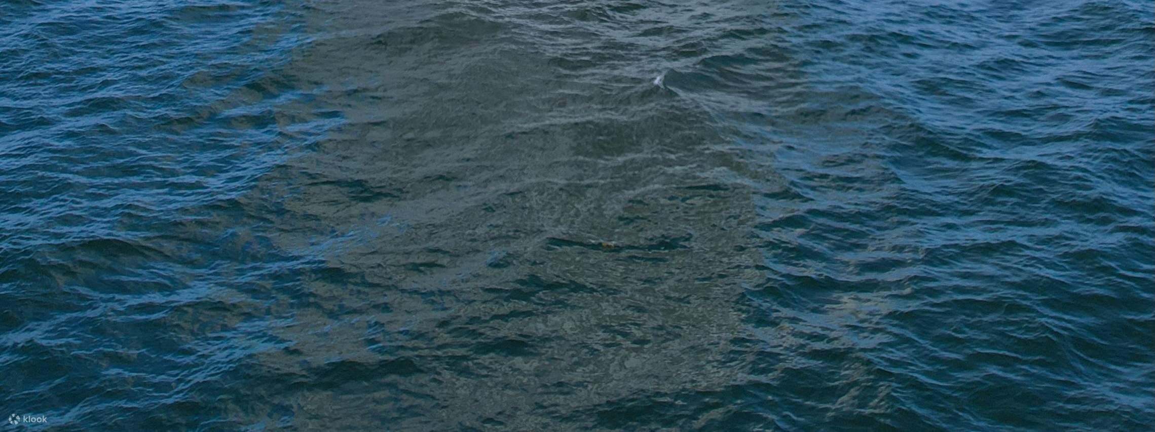 メイン州ポートランドの海岸沿いを巡る午後のウインドジャマークルーズ