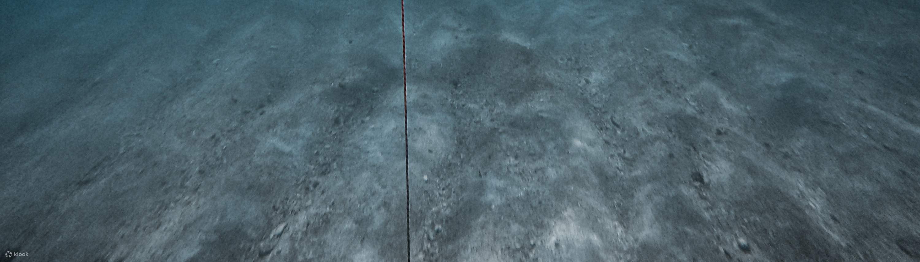 Đài Đông: Lặn tự do ở Đảo Xanh (Không cần bằng & kèm chụp ảnh dưới đáy biển)