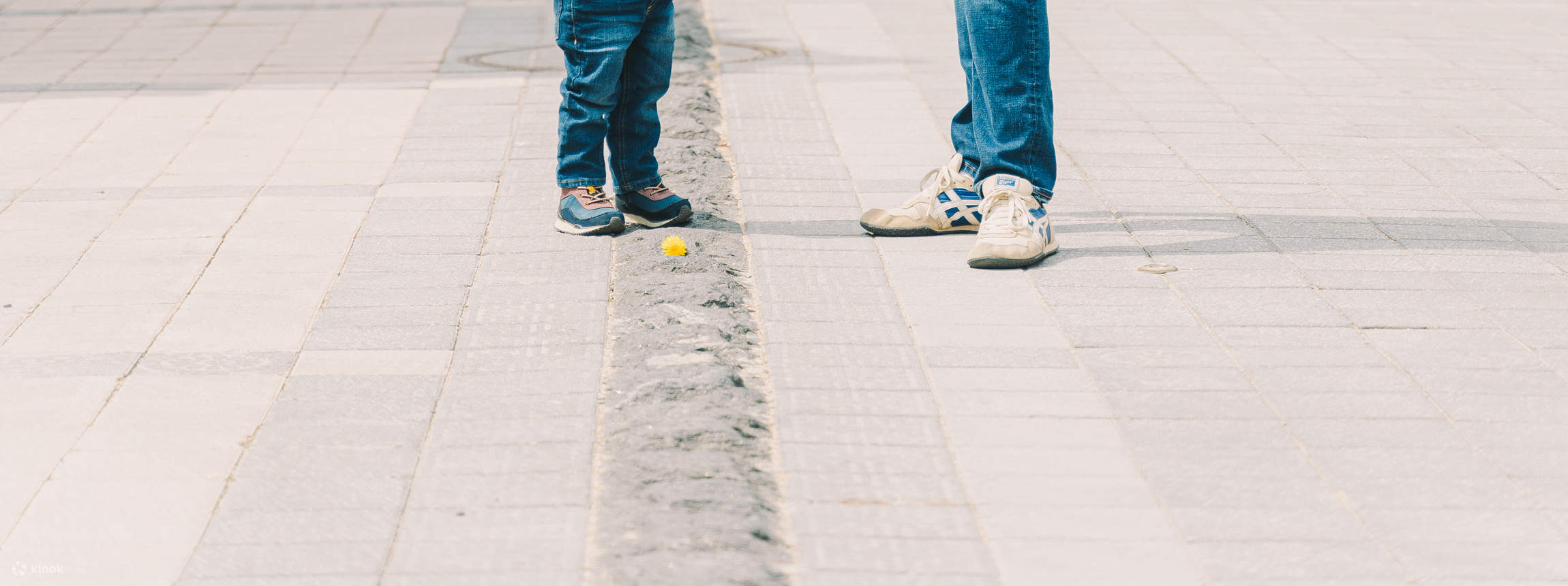 Pemandangan Seoul: Pengalaman Pemotretan