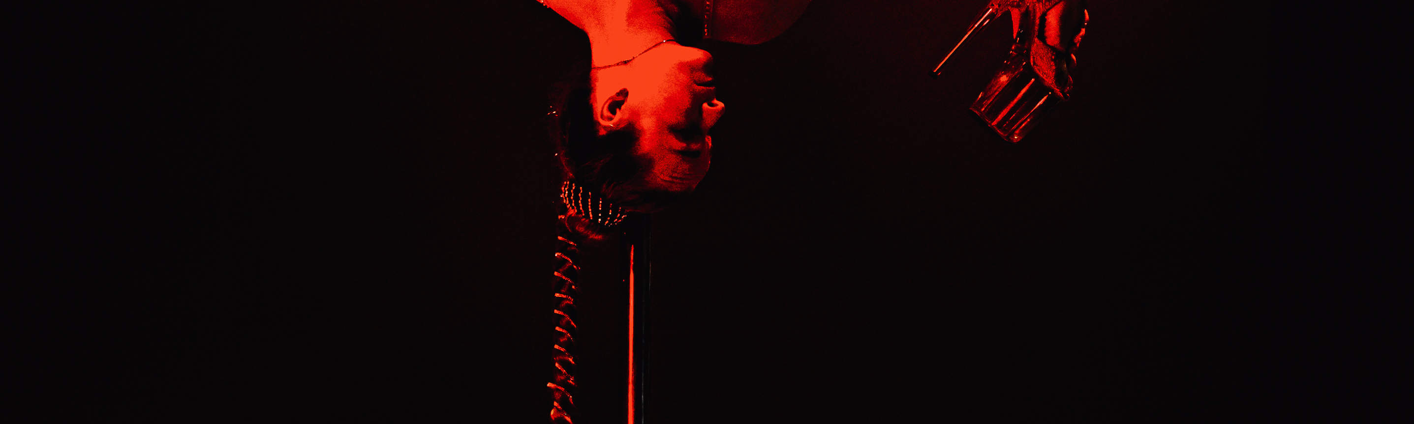 パタヤナイトショー