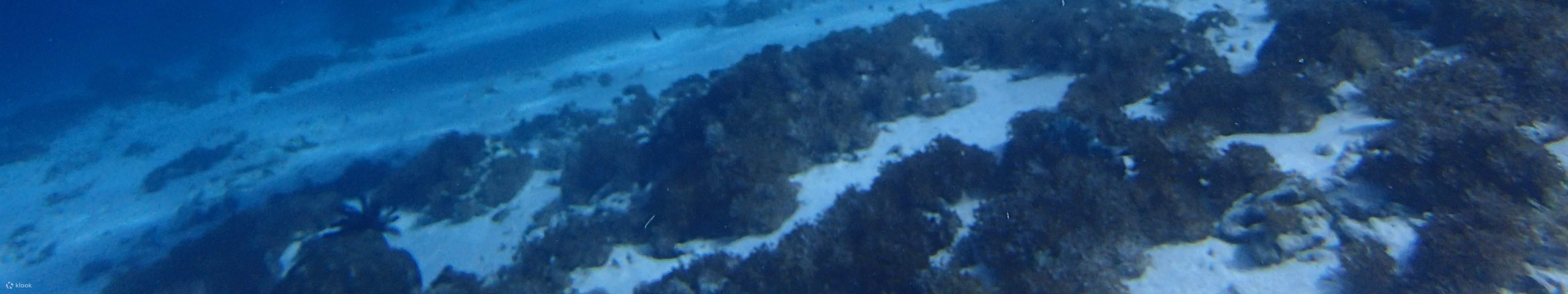 PADIオープン・ウォーター・ダイバーコース