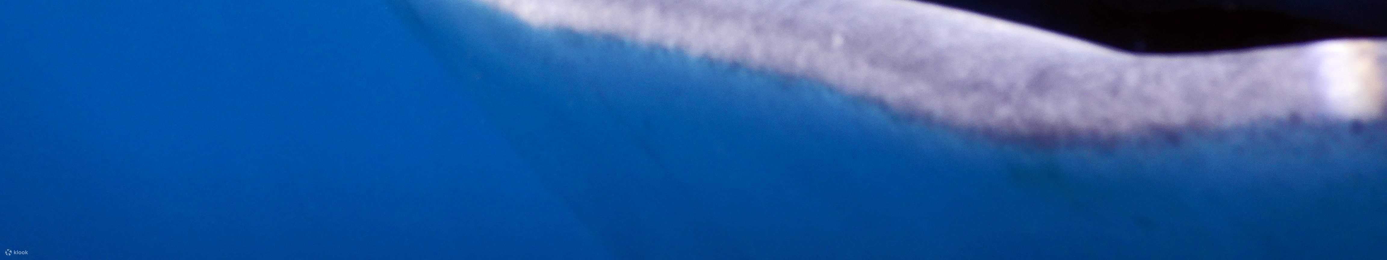 PADI Buceador con Aire Enriquecido (Nitrox)