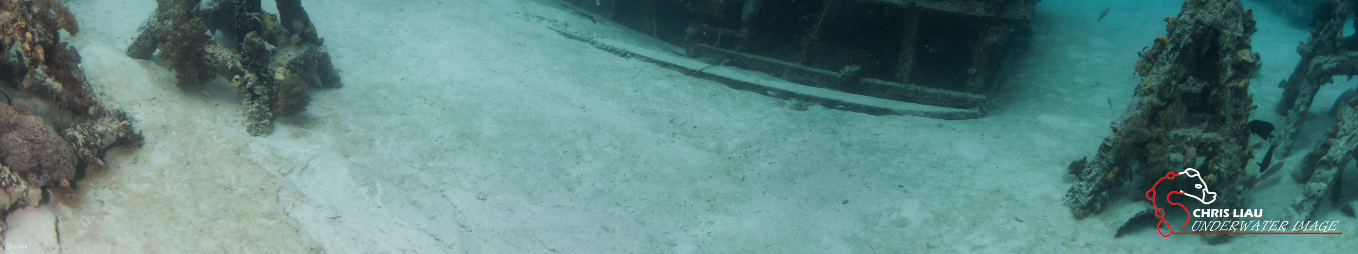 셈포르나 펀다이브 다이빙 여행