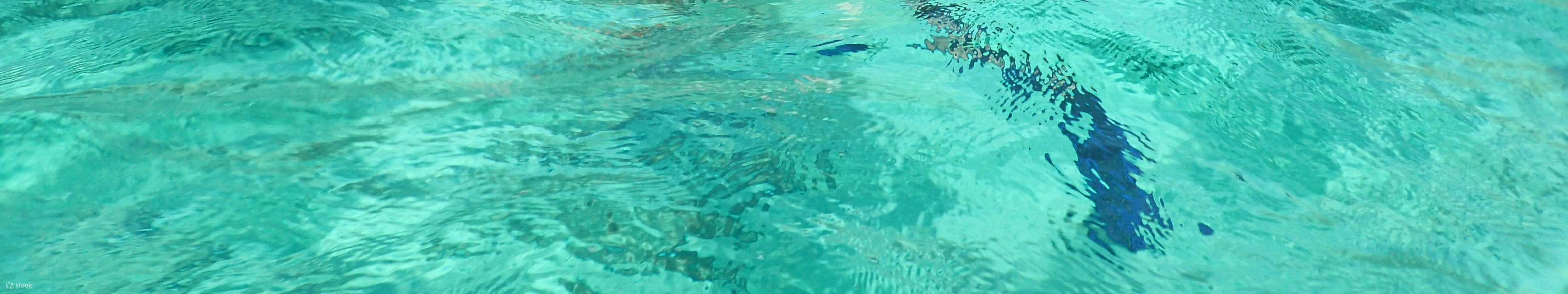 Esperienza Di Un'intera Giornata A Luxor Con Pranzo - Stati Uniti - Foto 4