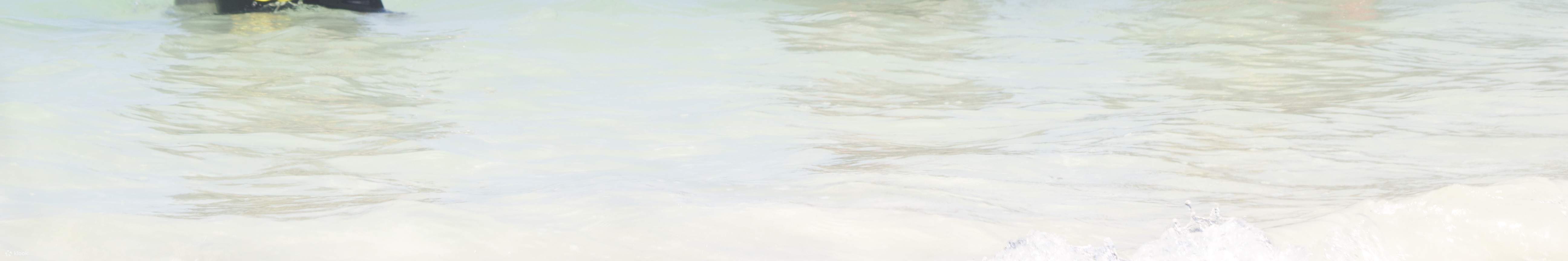 PADI Open Water Diver