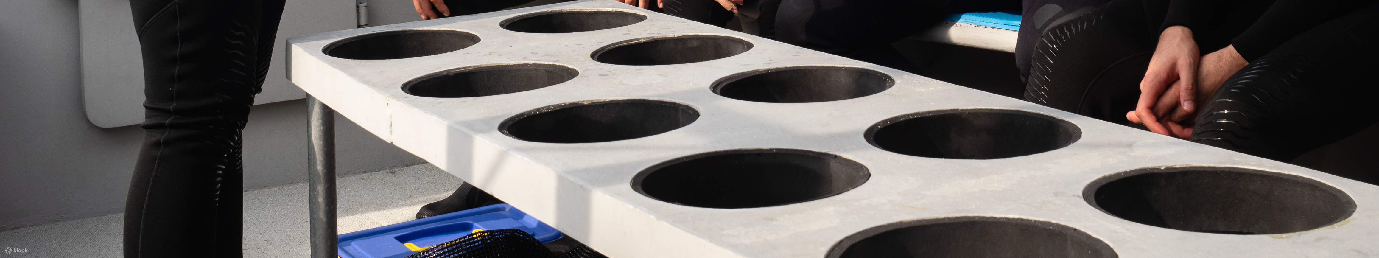 PADI Open Water Diver (E-learning)