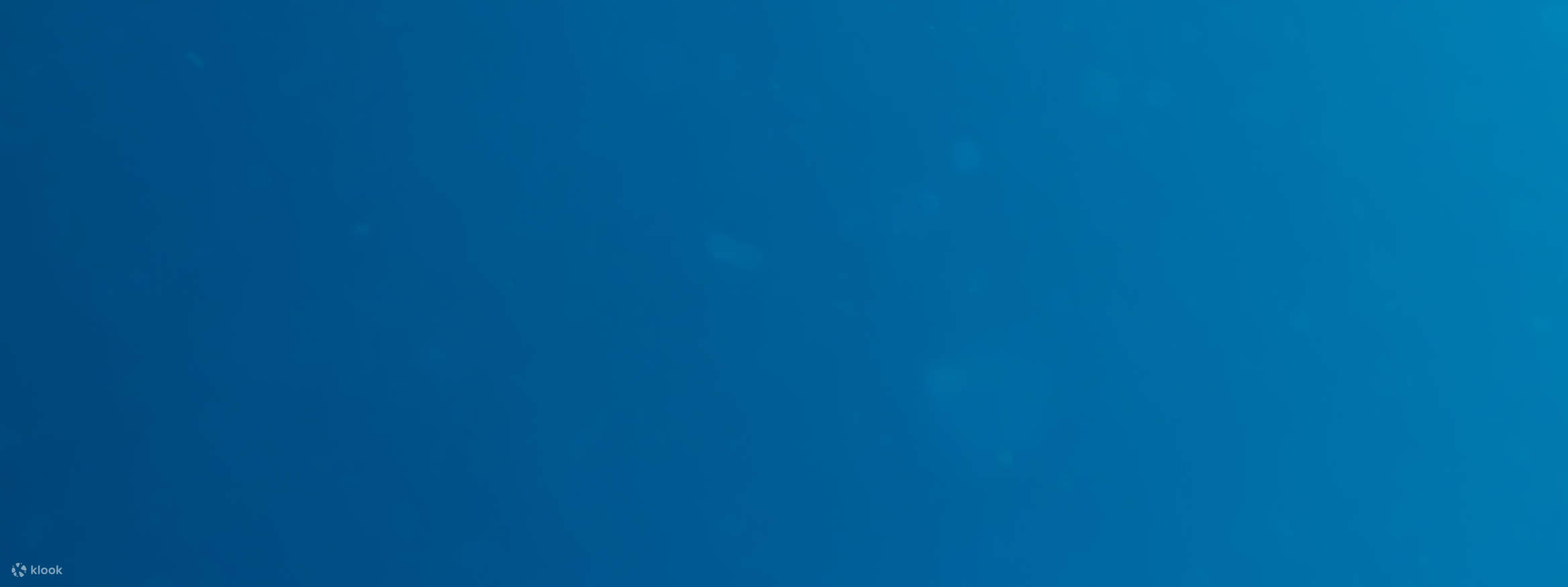 PADI Open Water Diver