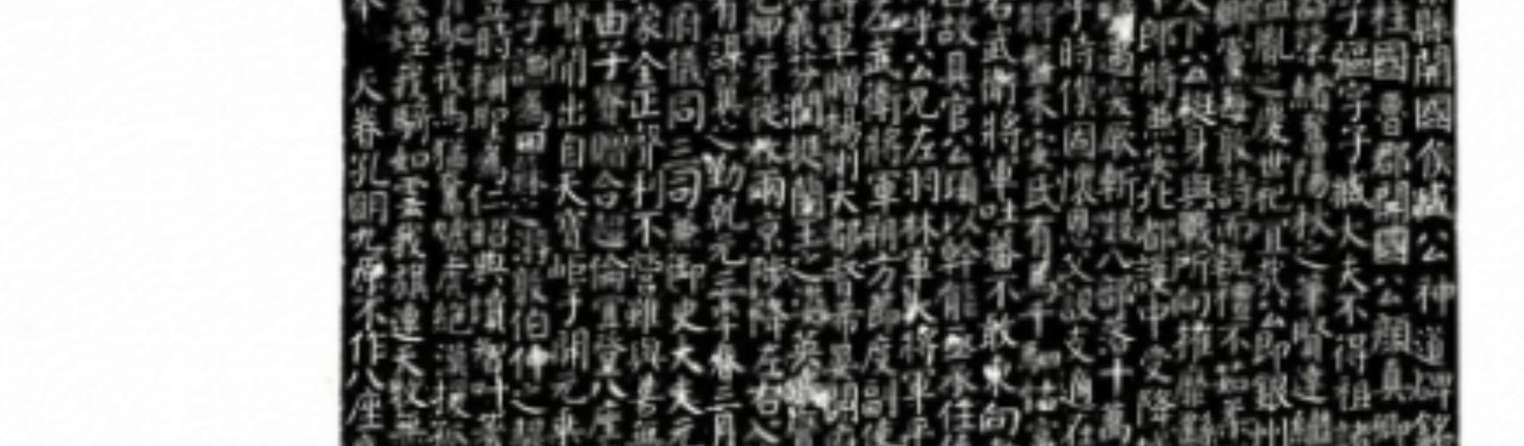 陝西省西安碑林博物館の入場券 + ガイド（プロの中国語ガイド + 古代の