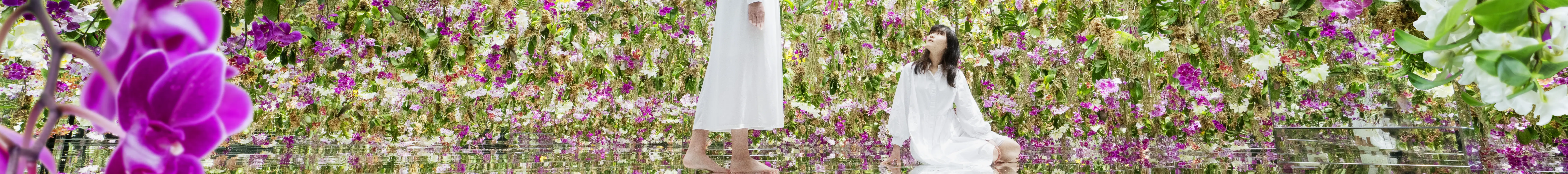 漂浮的花园 ── 花朵与我同根同源，花园与我合为一体