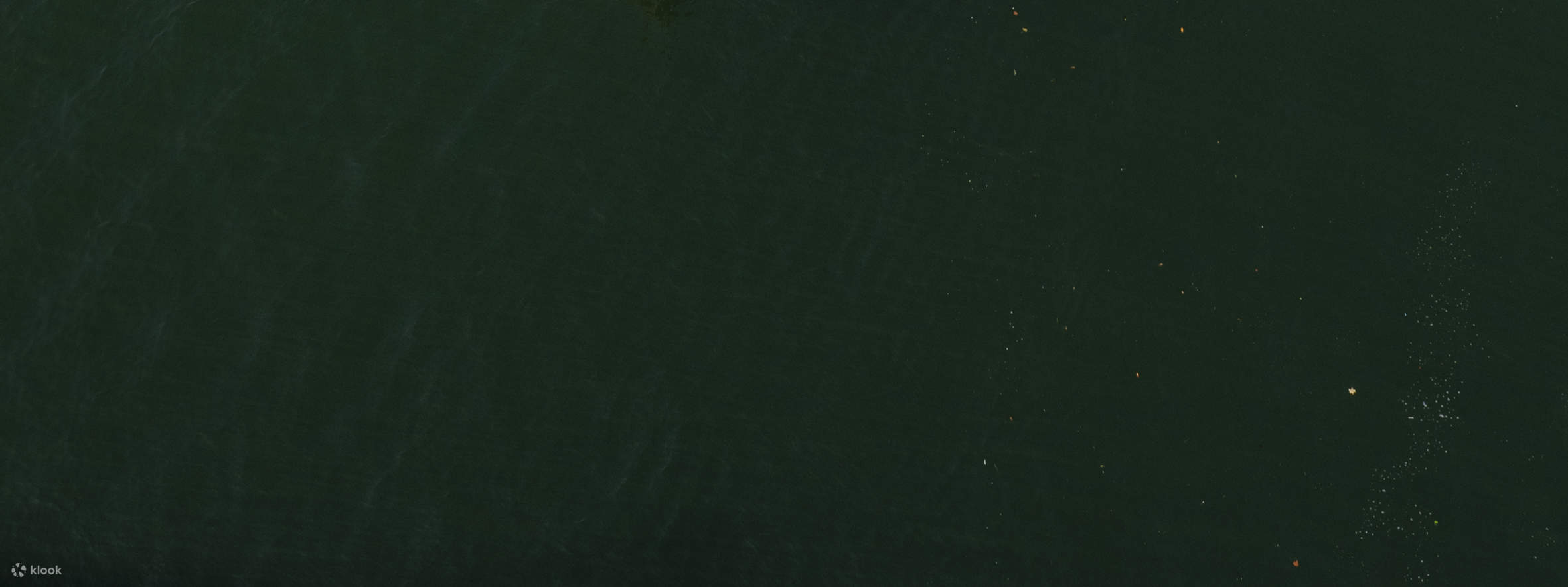 Recorrido a pie por Oporto, Librería Lello, crucero por el río y teleférico