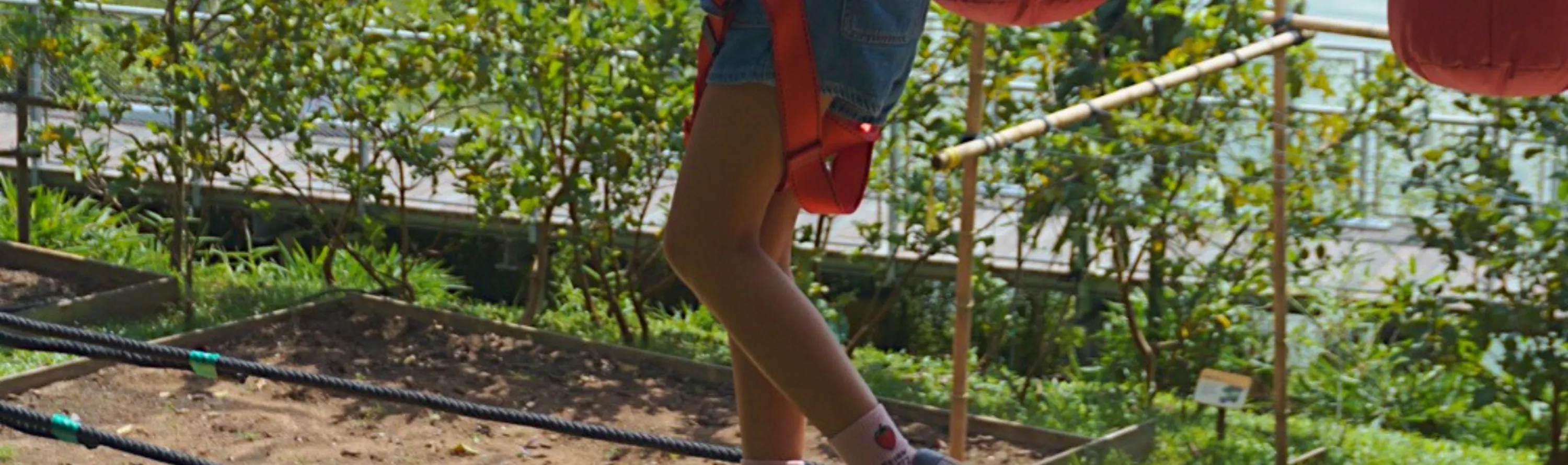 Houbii Spot Rope Course At Zoo