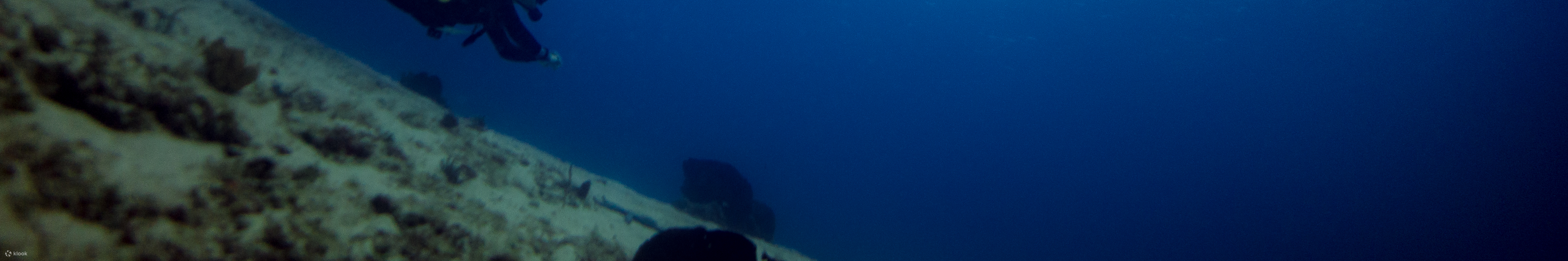 PADI Discover Scuba Diving