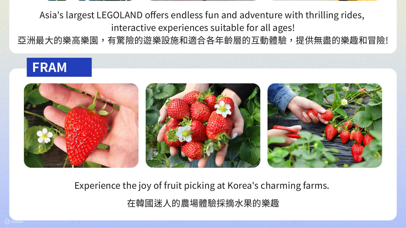 Аренда автомобиля с водителем в Сеуле: туры к Нами/Альпака/Сокчо/Каннын по местам съемок K-драм