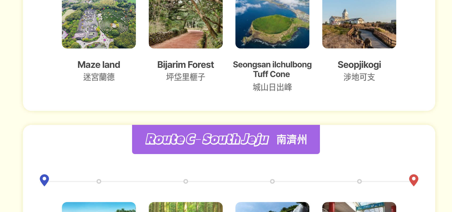 済州島 貸切チャーター