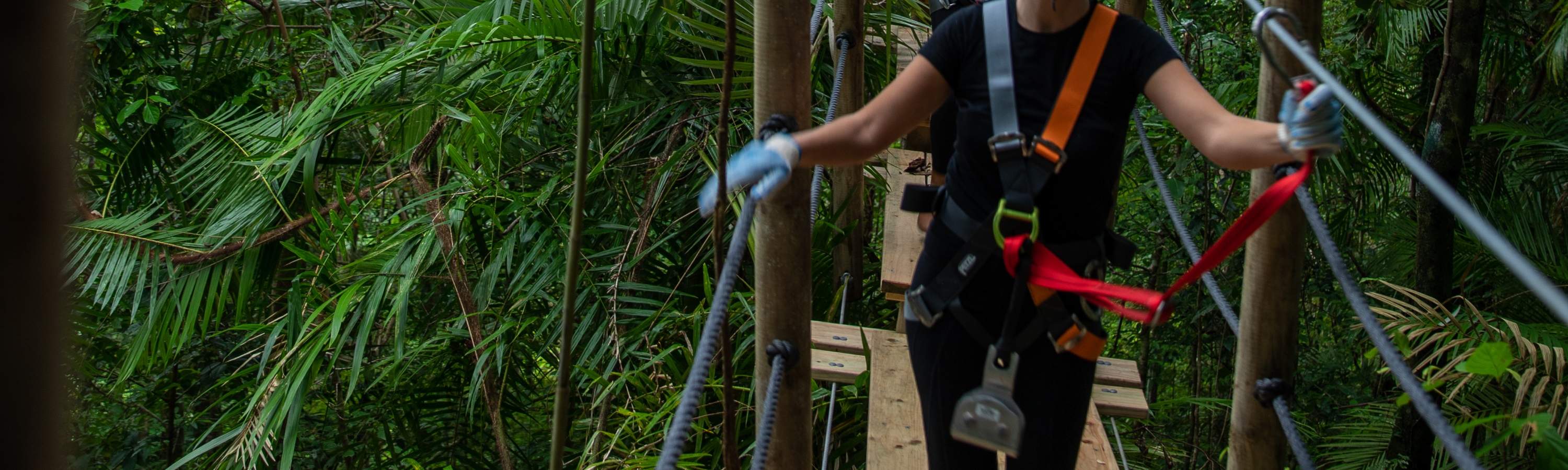 Đi bộ trong rừng