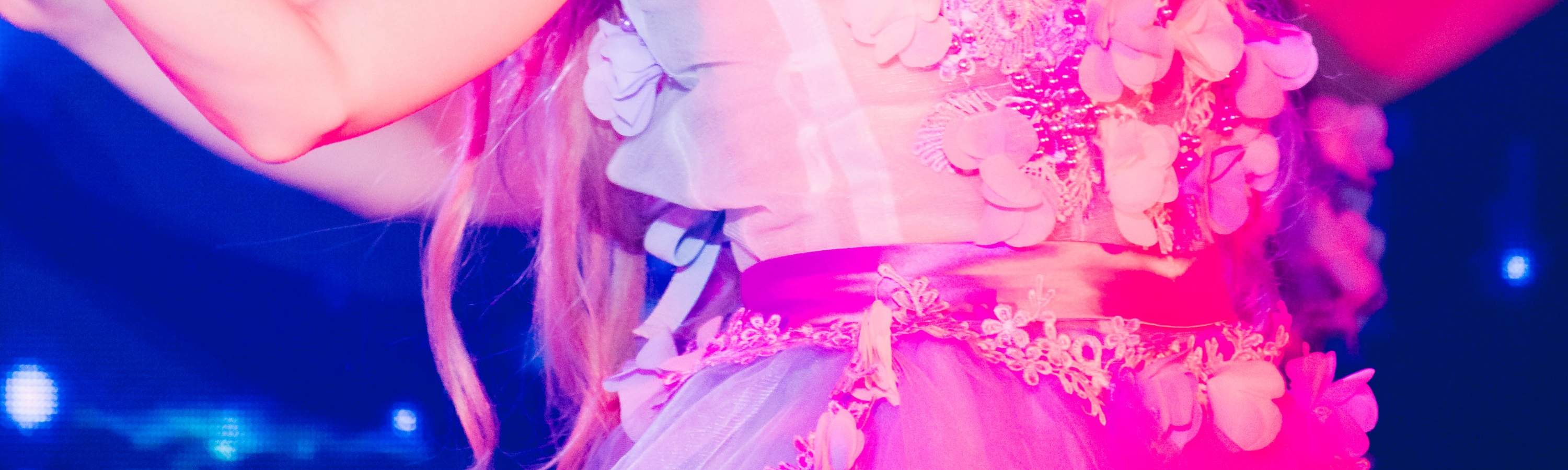 Entertainment Show Museum (일본 대중문화) 입장권